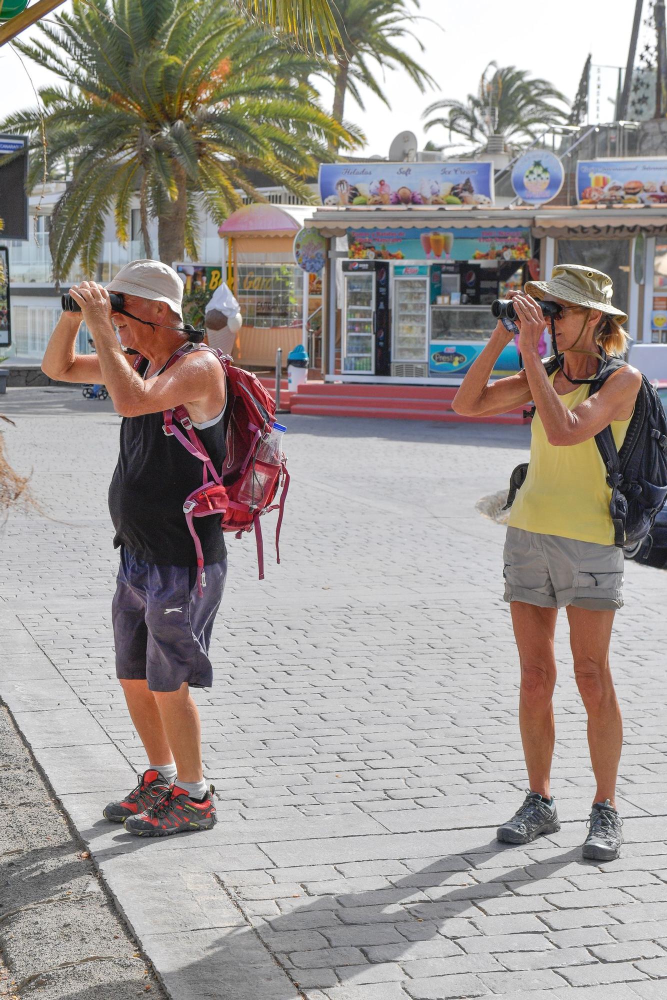 Avistamiento de fauna en la charca de Maspalomas