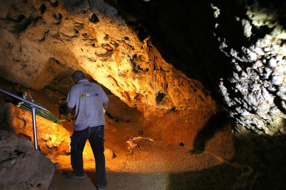 Alejandro Gallego, de la junta directiva de la Asociación Arqueológica Yacimientos de La Araña, muestra la Cueva del Humo, la única visitable por el público