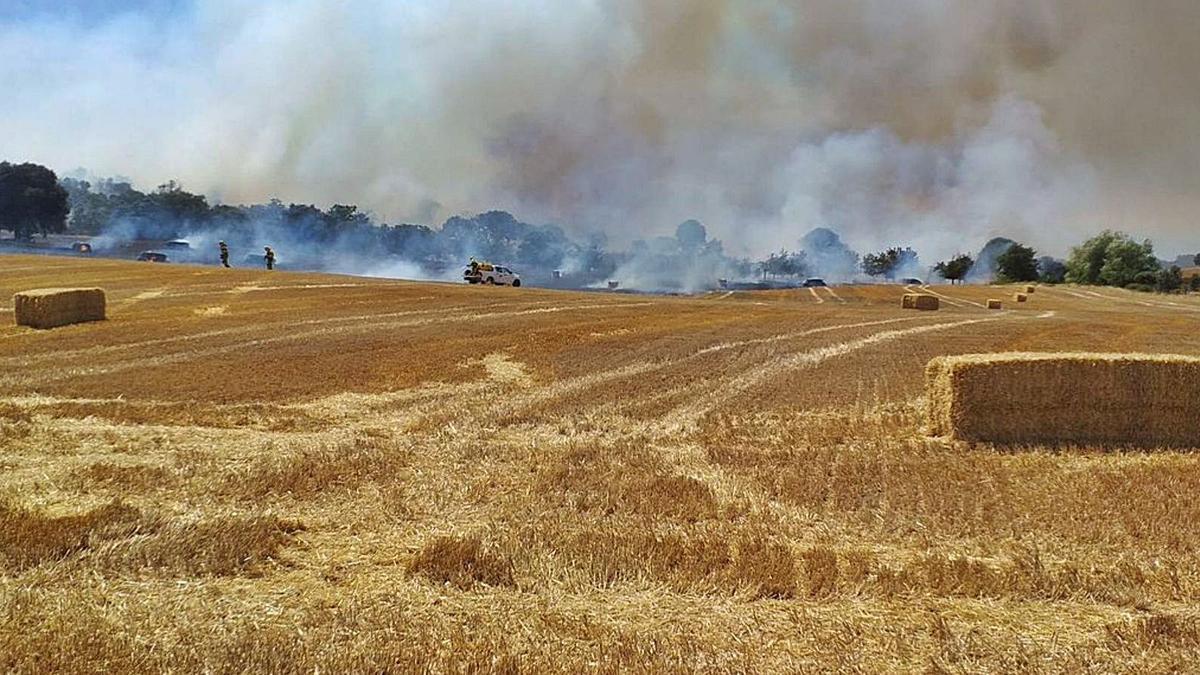 Incendio entre Navianos de Valverde y Villaveza de Valverde. | L. O. Z.