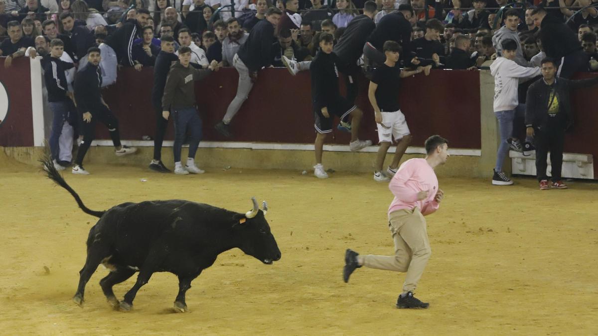 Las vaquillas mañaneras forman parte de los actos con más afluencia de personas.