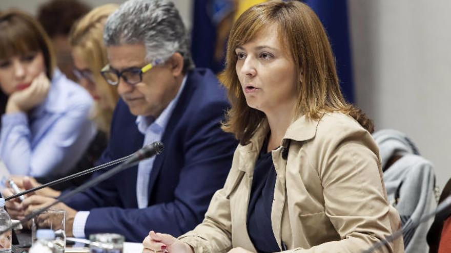 La consejera Nieves Lady Barreto, ayer durante su comparecencia parlamentaria.