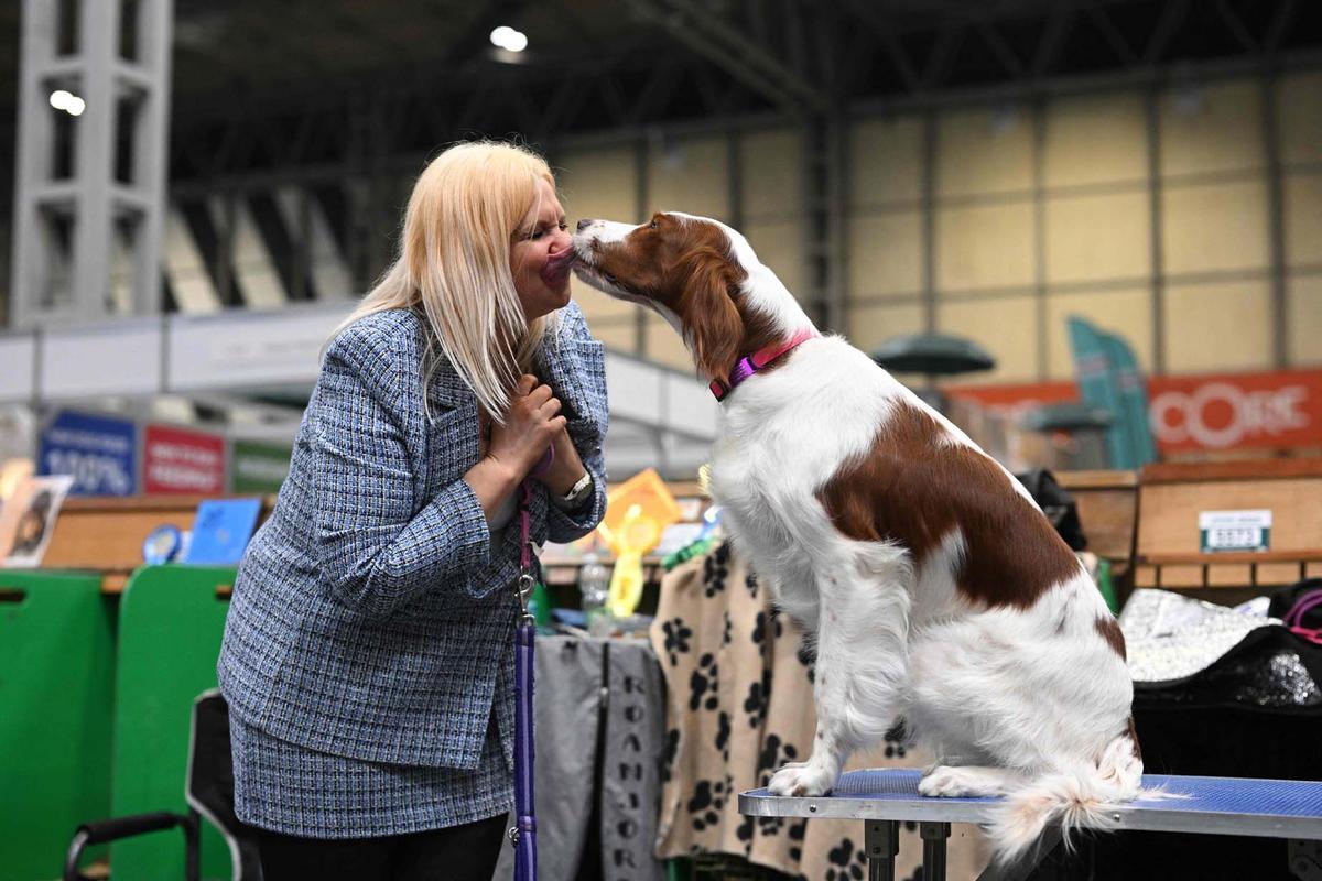 Exposición canina en el Centro Nacional de Exposiciones de Birmingham