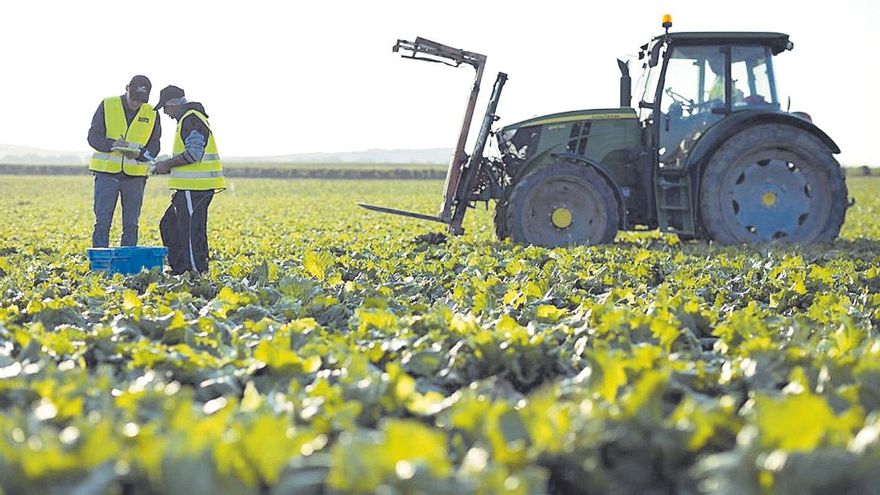 La concentración agrícola amenaza la estabilidad del sector agro regional