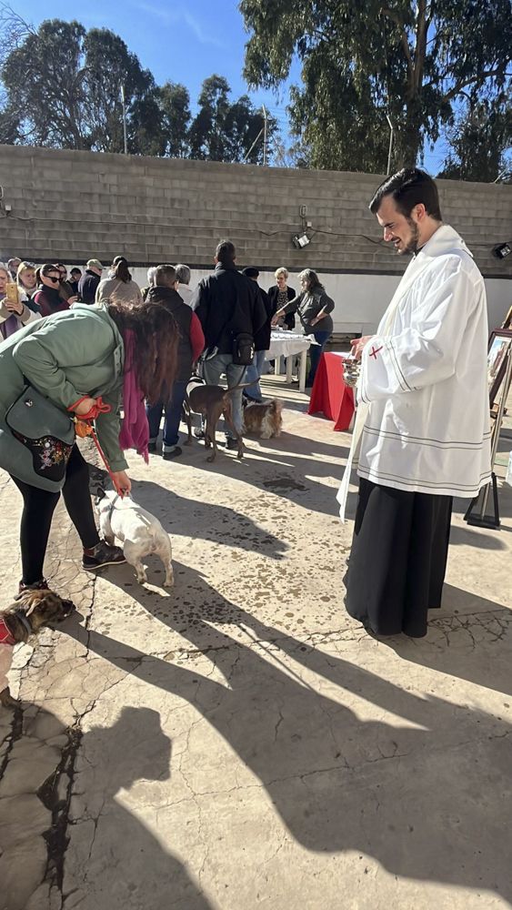 Sant Antoni en el Camp de Morvedre