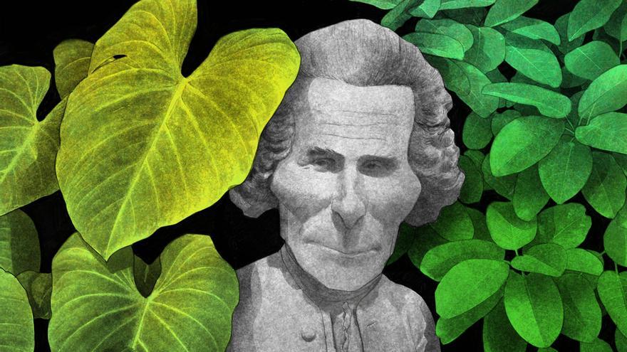 Rousseau o la duplicidad de la naturaleza humana