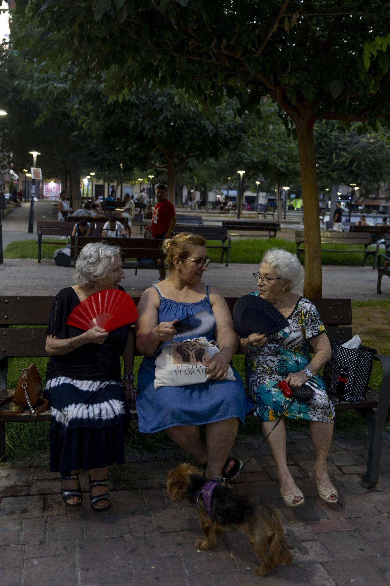 Las familias y vecinos llenan los parques de Carolinas y del Pla durante las noches de verano