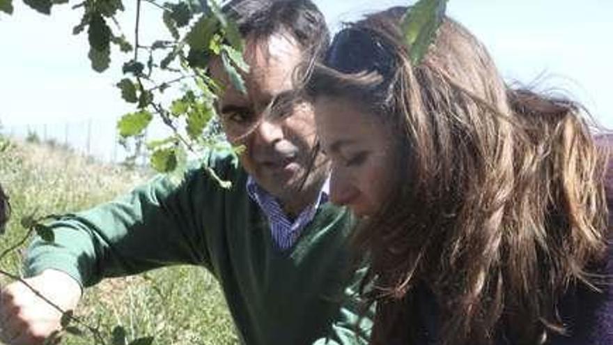 Gaspar Corrales y Berta Martín observan una planta.
