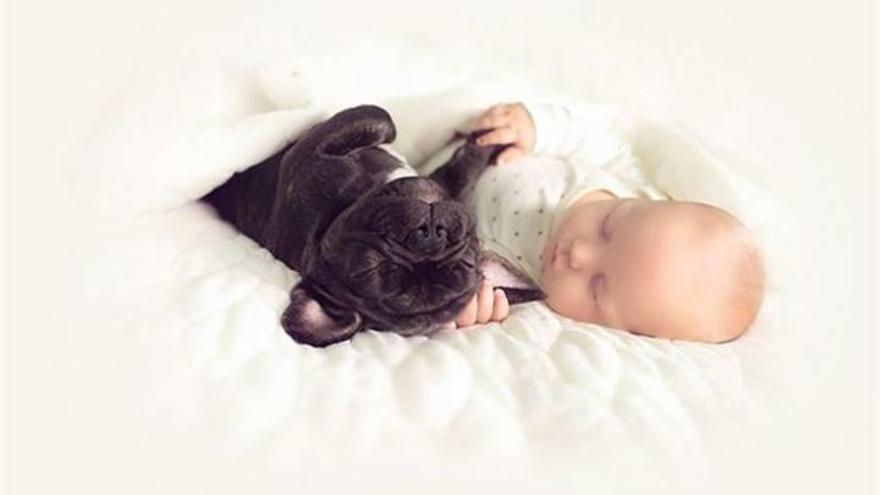 Un nadó i un bulldog, nascuts el mateix dia, com germans