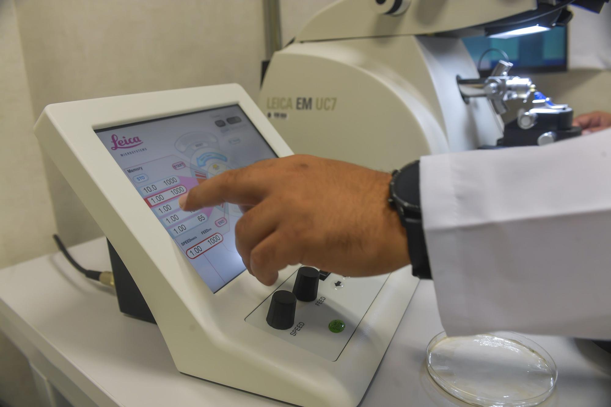 Servicio de Investigación en Microscopía avanzada confocal y electrónica de la ULPGC