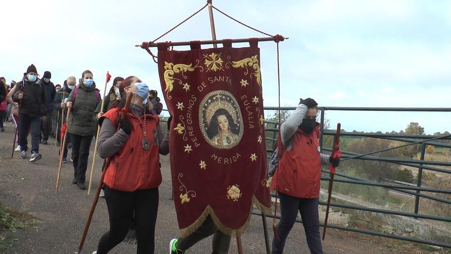 Cientos de peregrinos emeritenses recorren el camino en honor a la mártir Santa Eulalia