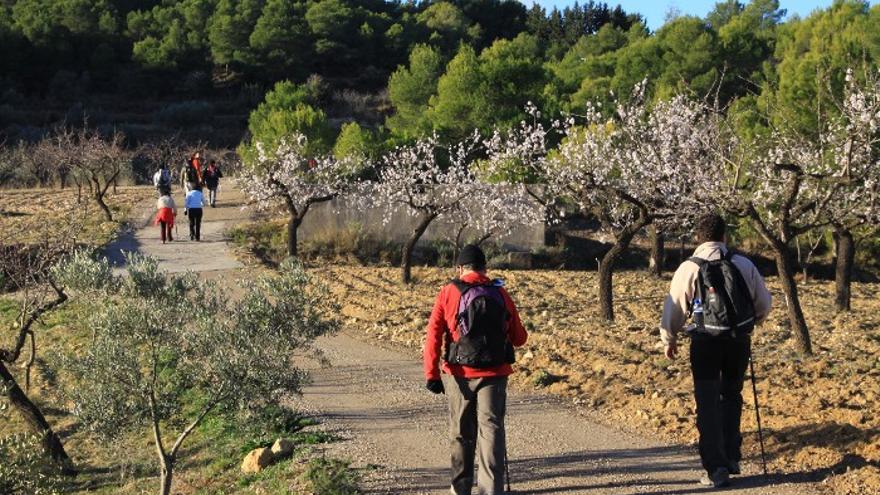 Rutas Espusendas.