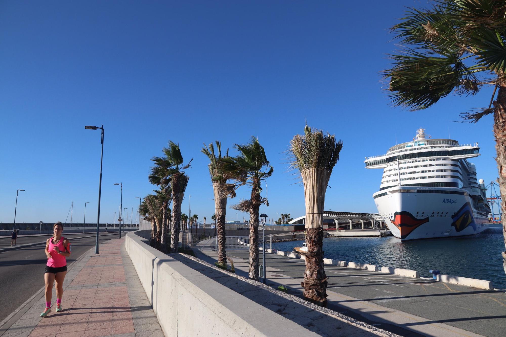 El crucero alemán Aida Perla, atracado en el Puerto de Málaga.