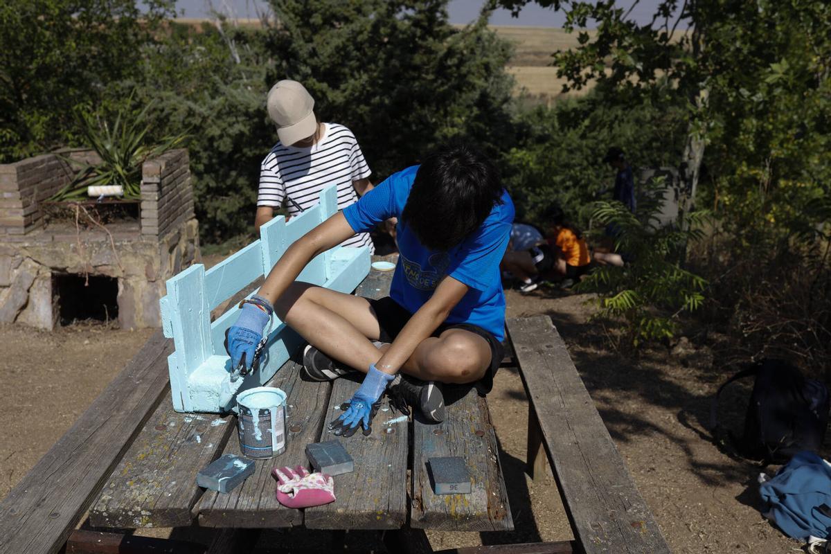 GALERÍA | Cerecinos del Carrizal, sede de un "Campo de Voluntariado"