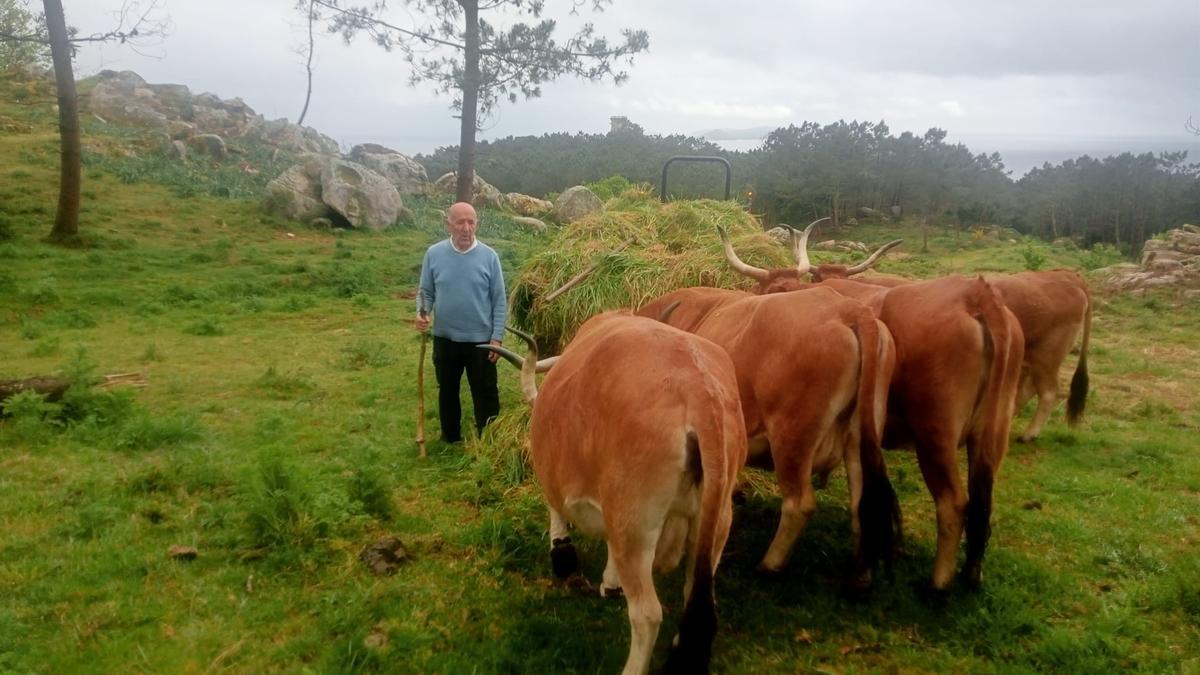 El comunero José Álvarez Vidal, uno de los encargados de cuidar a las cachenas.