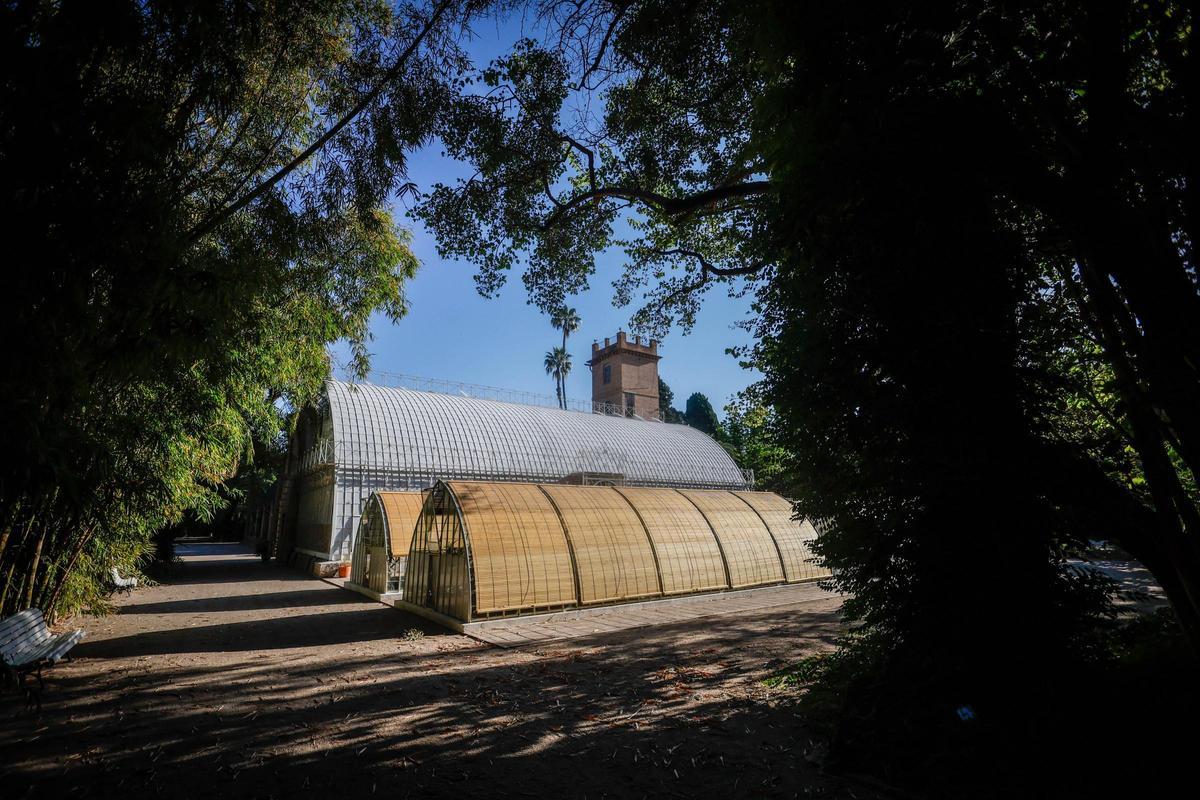 El Jardín Botánico de València está de moda