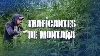 Multimedia | Así son las plantaciones de marihuana que los narcos ocultan en el bosque