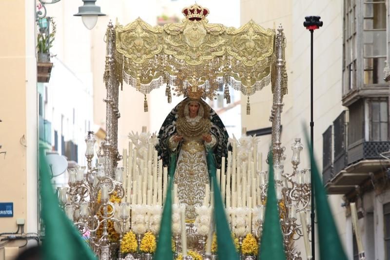 Domingo de Ramos de 2016 | Pollinica