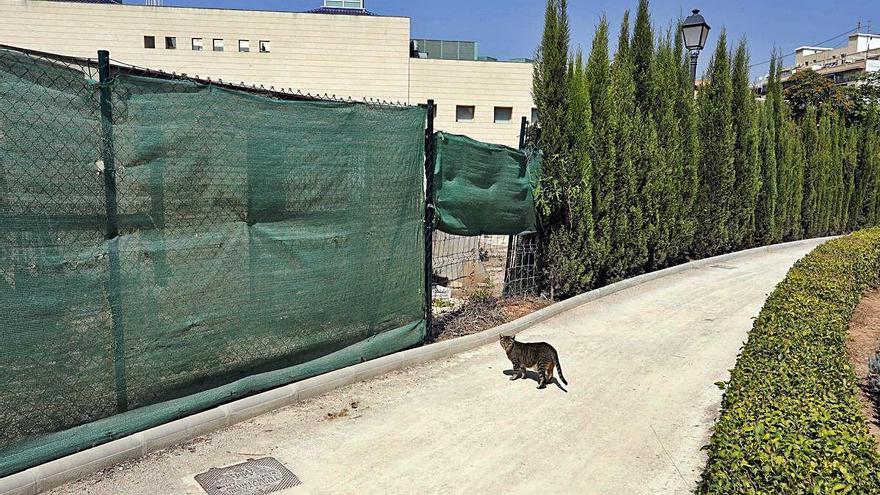 Un gato junto al vallado que separa los jardines de Viveros del Museo San Pío V (al fondo).