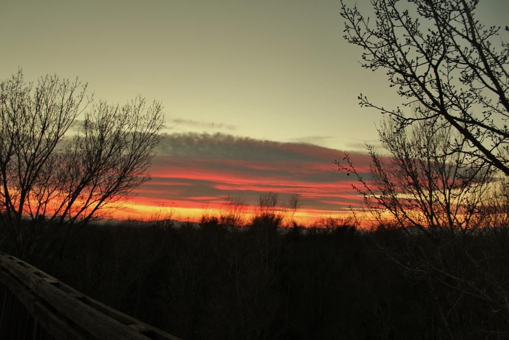 Posta de sol als Aiguamolls de l''Empordà