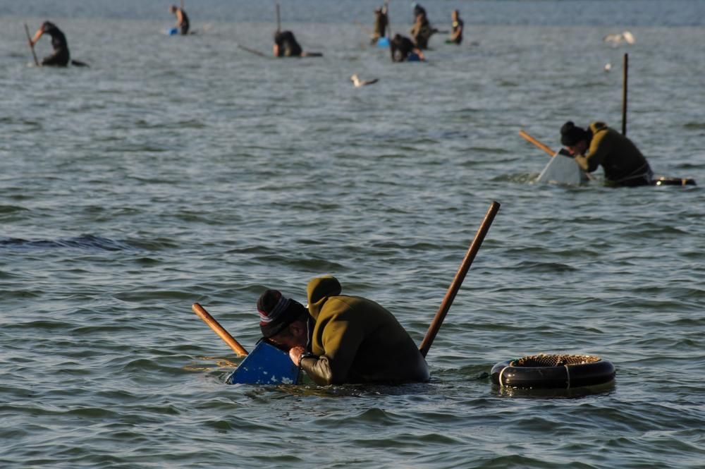 El marisqueo también genera turismo