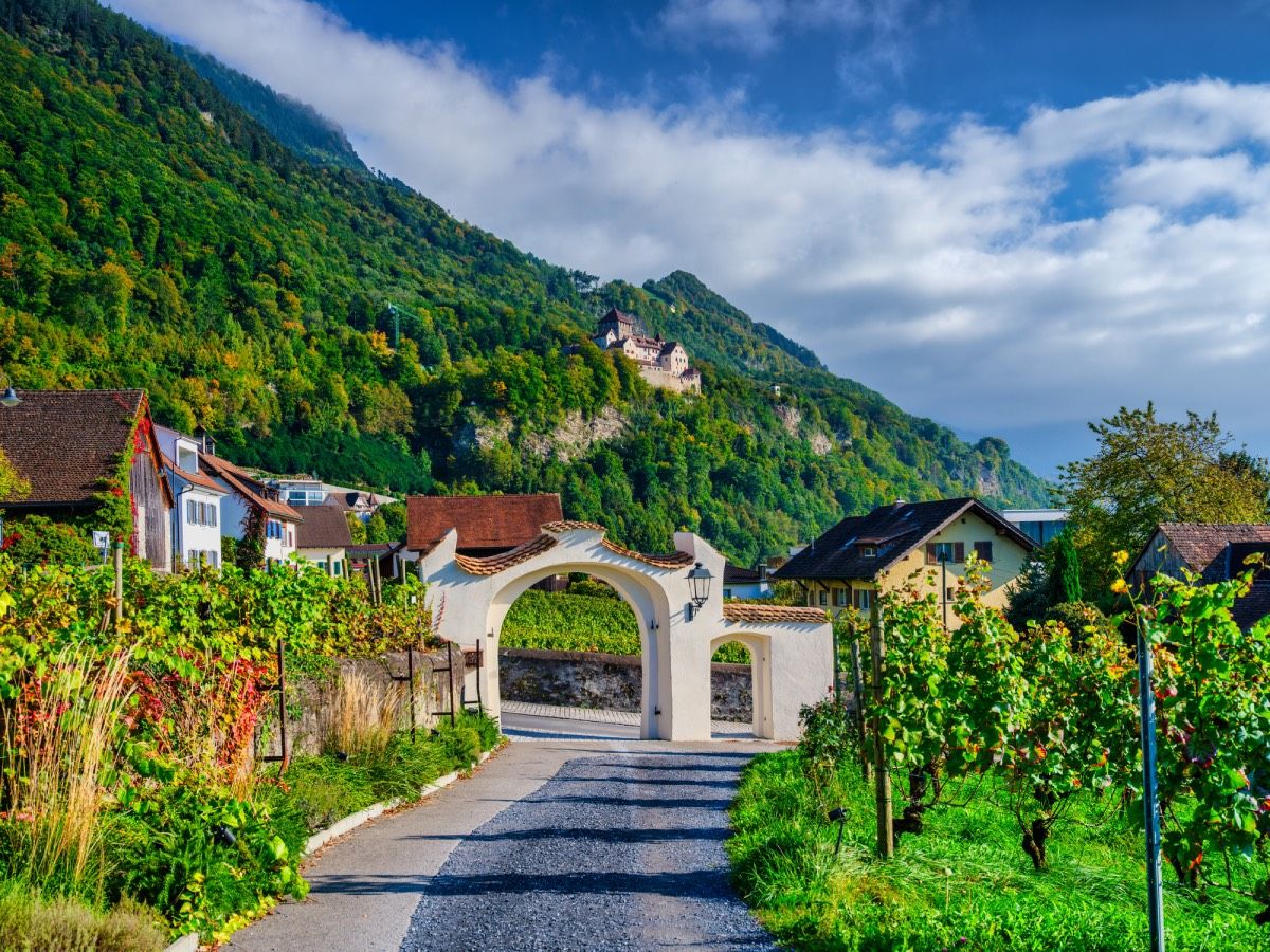 Los viñedos de Liechtenstein