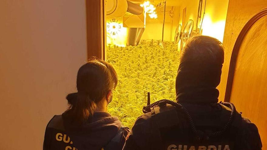 Balanç de l&#039;operatiu antidroga de Maçanet: Cau una banda dedicada al cultiu de marihuana i elaboració d&#039;haixix