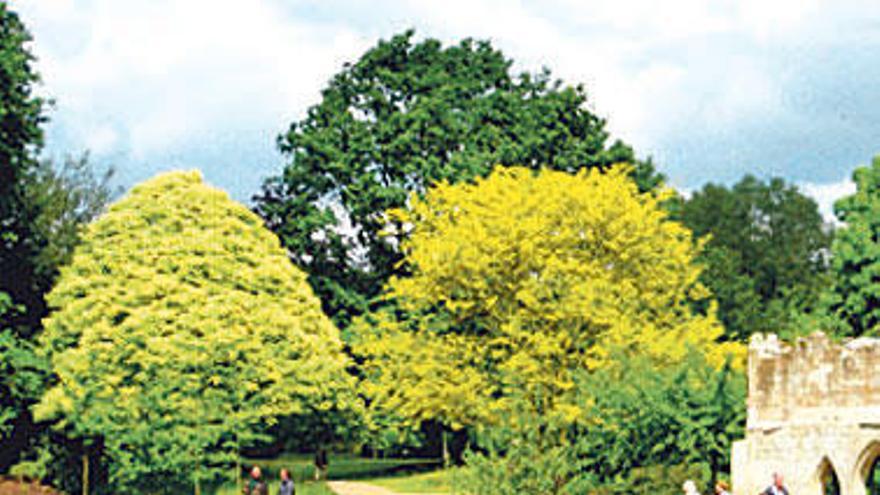 Jardines de Frogmore, Berkshire.