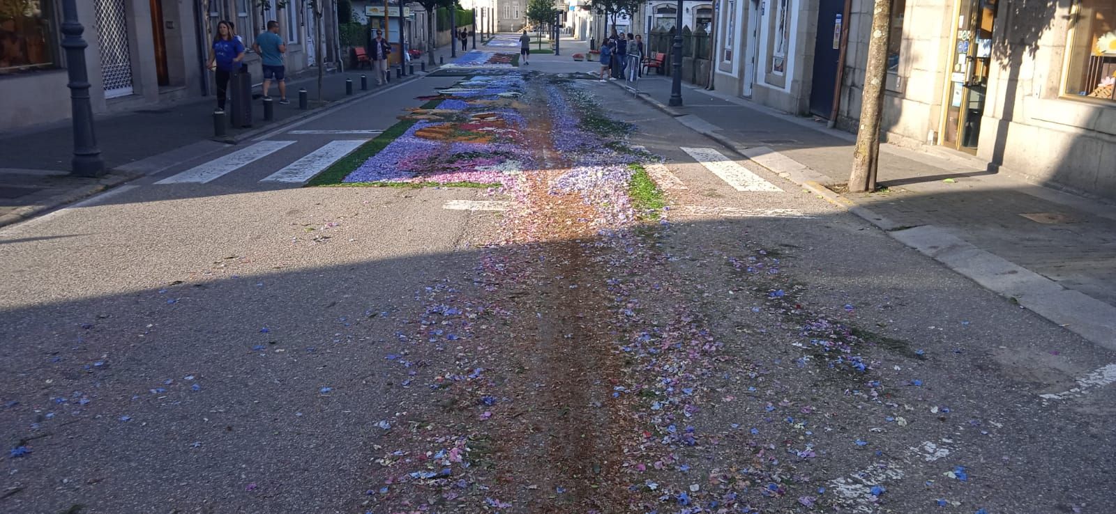 Un coductor destroza las alfombras florales del Corpus de Gondomar