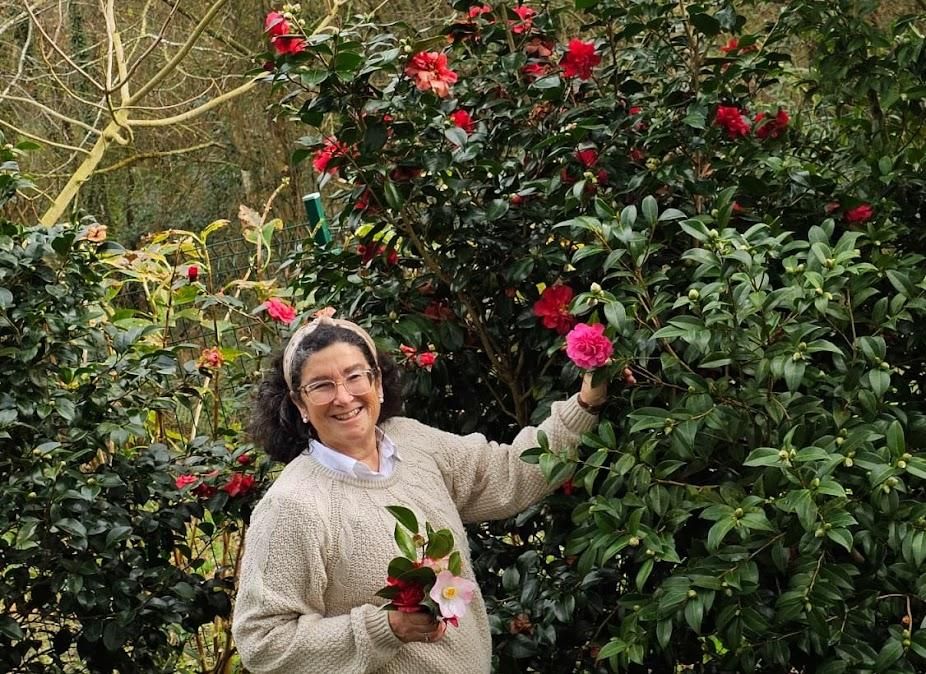El jardin de camelias de María Jesús Guitérrez, en imágenes