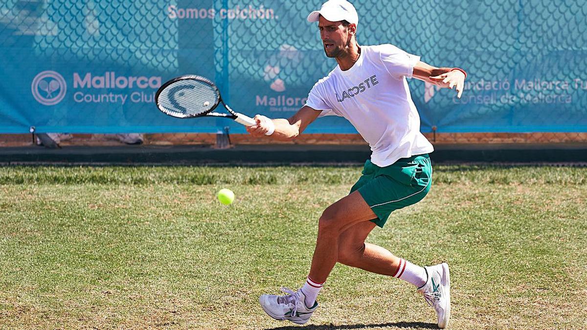 Djokovic entrenó ayer junto a Thiem. |