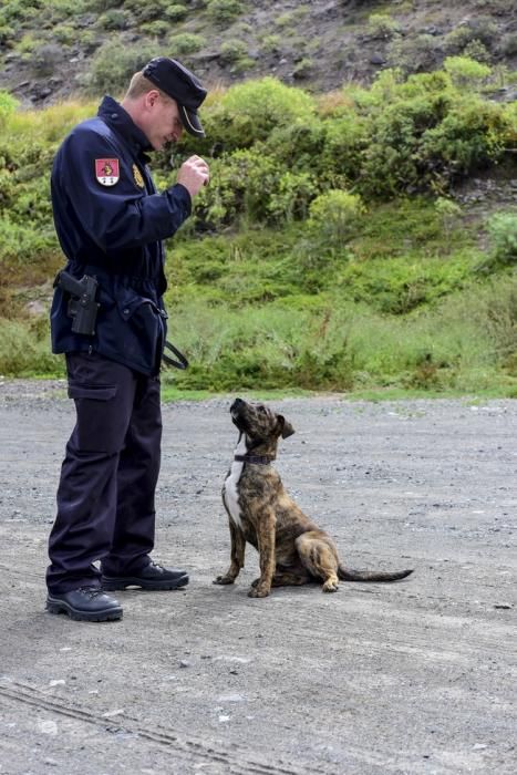 Reportaje a la Unidad Canina de la Policia ...