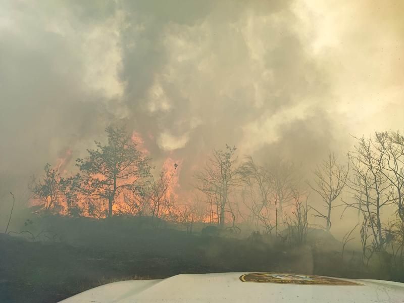 Una chispa provoca un incendio forestal en Lalín