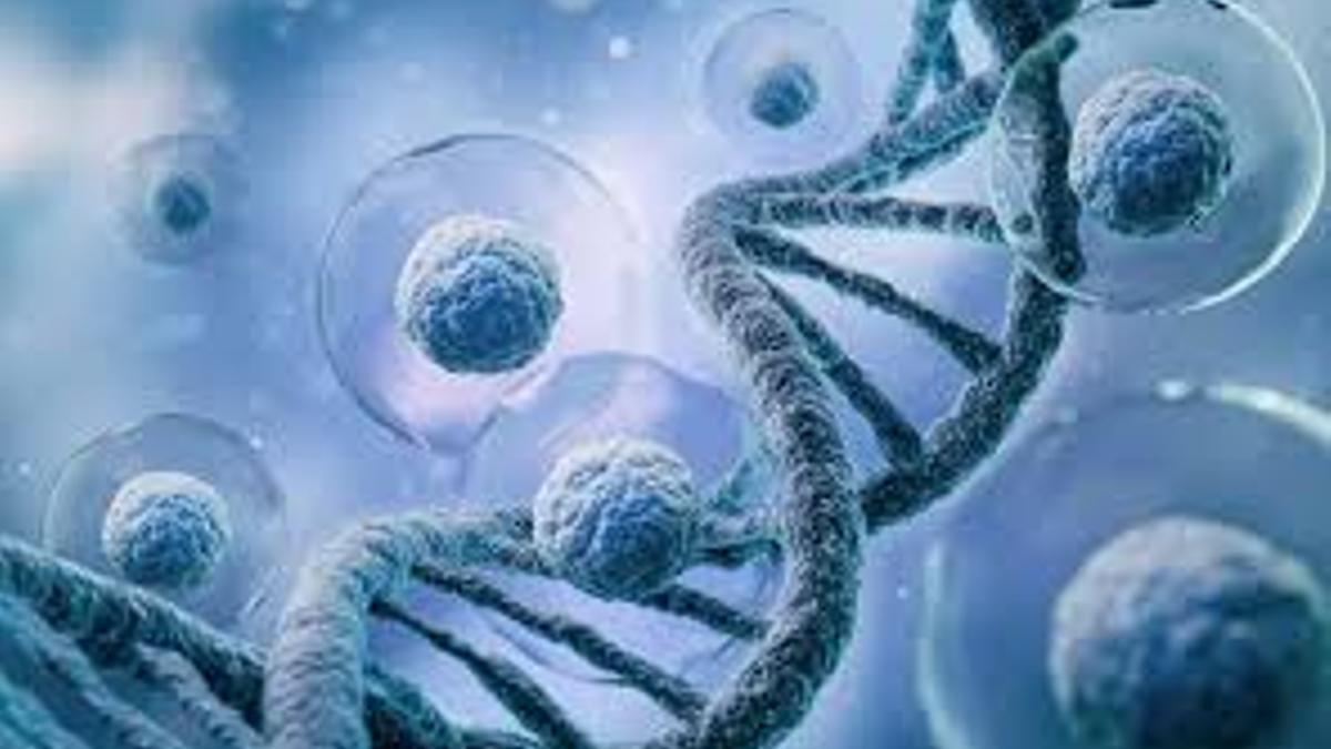 Los exosomas están revolucionando la estética