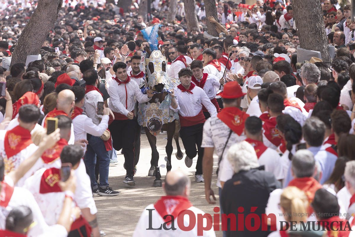 Así se ha vivido la carrera de Los Caballos del Vino en Caravaca