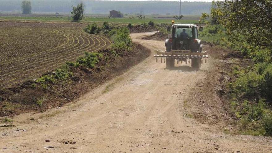 Un tractor circula por un camino de la vega del río Eria en Morales de Rey.