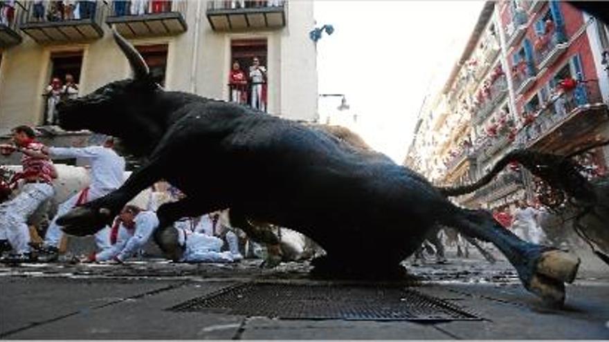 Els joves corren al costat dels toros de la ramaderia de Domingo Hernández, en el penúltim dia del correbou.