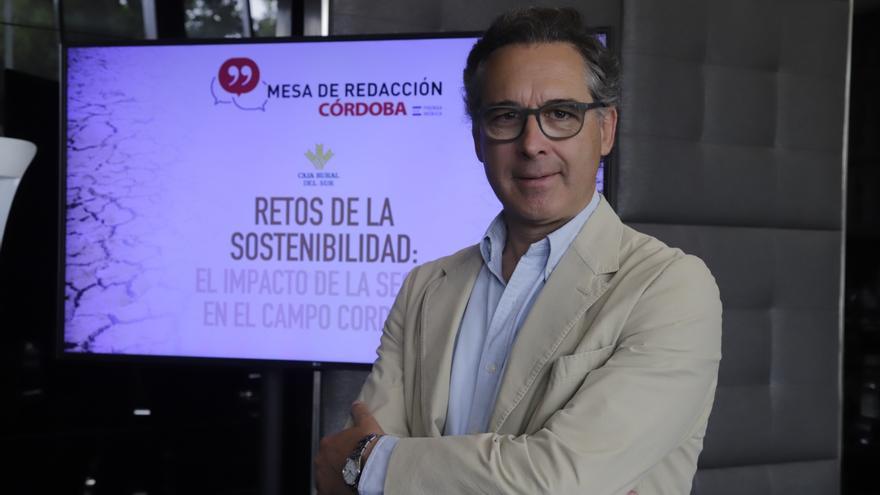 Pedro Parias: «A corto plazo, hay que salvar la arboleda»