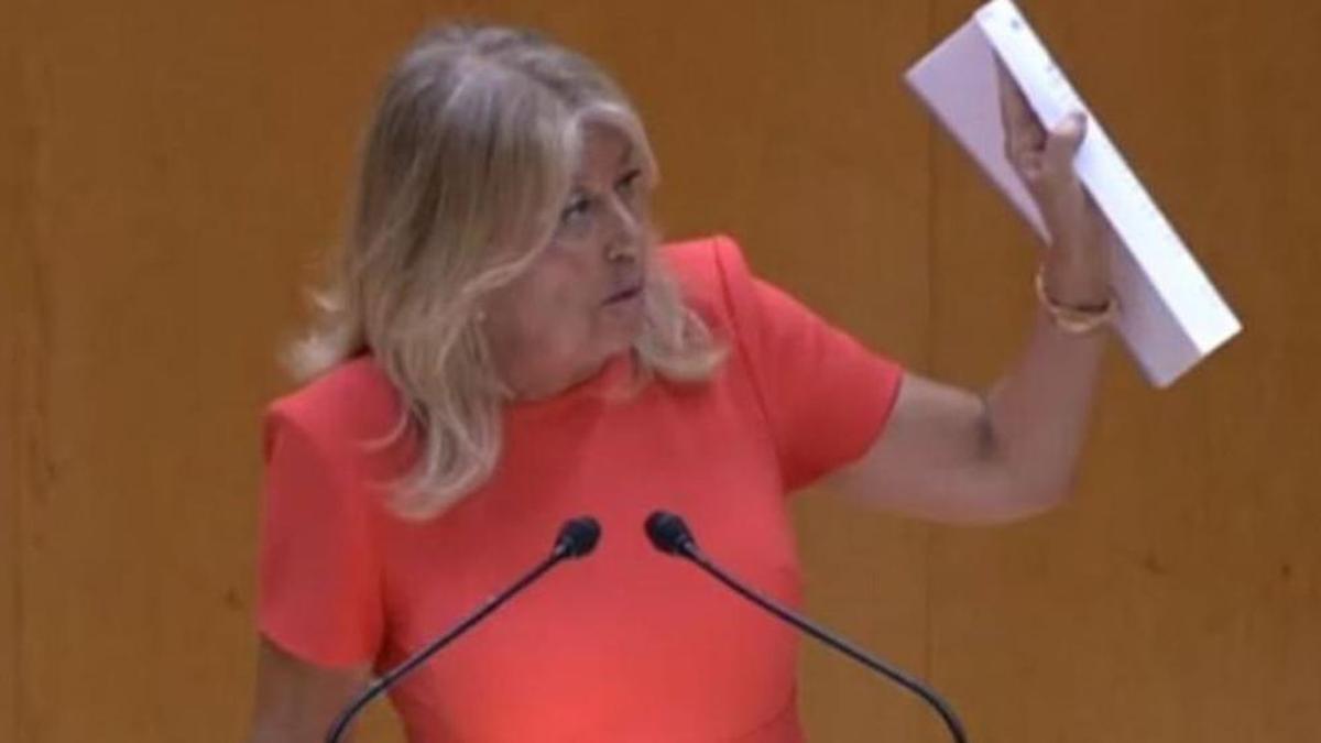 La alcaldesa y senadora, Ángeles Muñoz, en una intervención en la Cámara Alta.