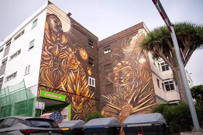Murales urbanos en La Laguna