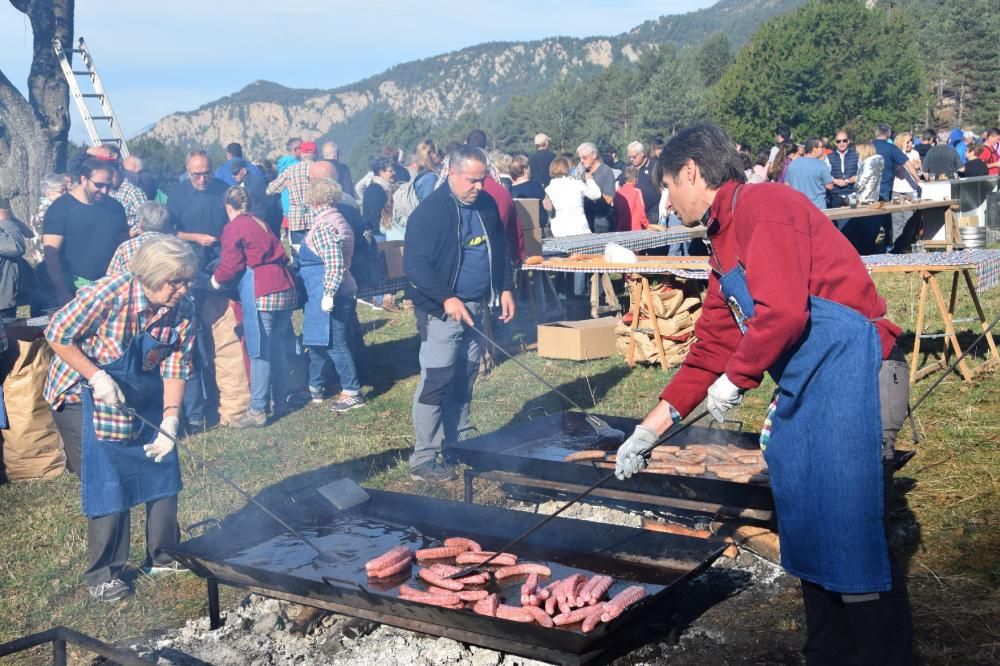 Concurs boletaire de Puigventós