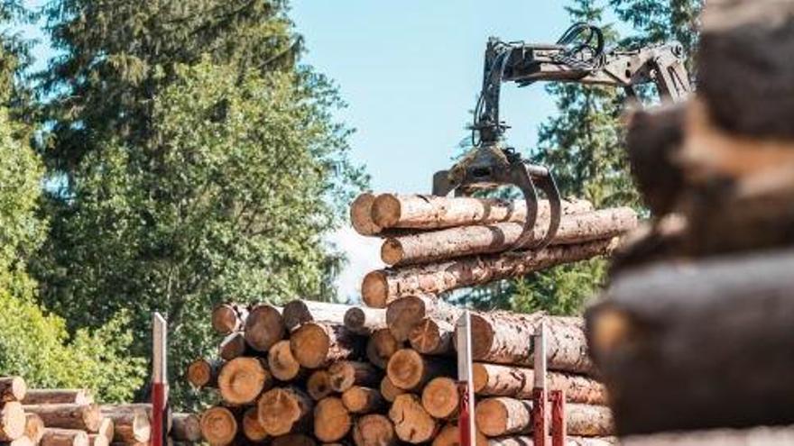 L&#039;ús de la biomassa té beneficis ambientals, forestals, energètics i econòmics