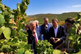 CECO califica la cumbre de ministros de Agricultura de la UE en Córdoba como «muy positiva»