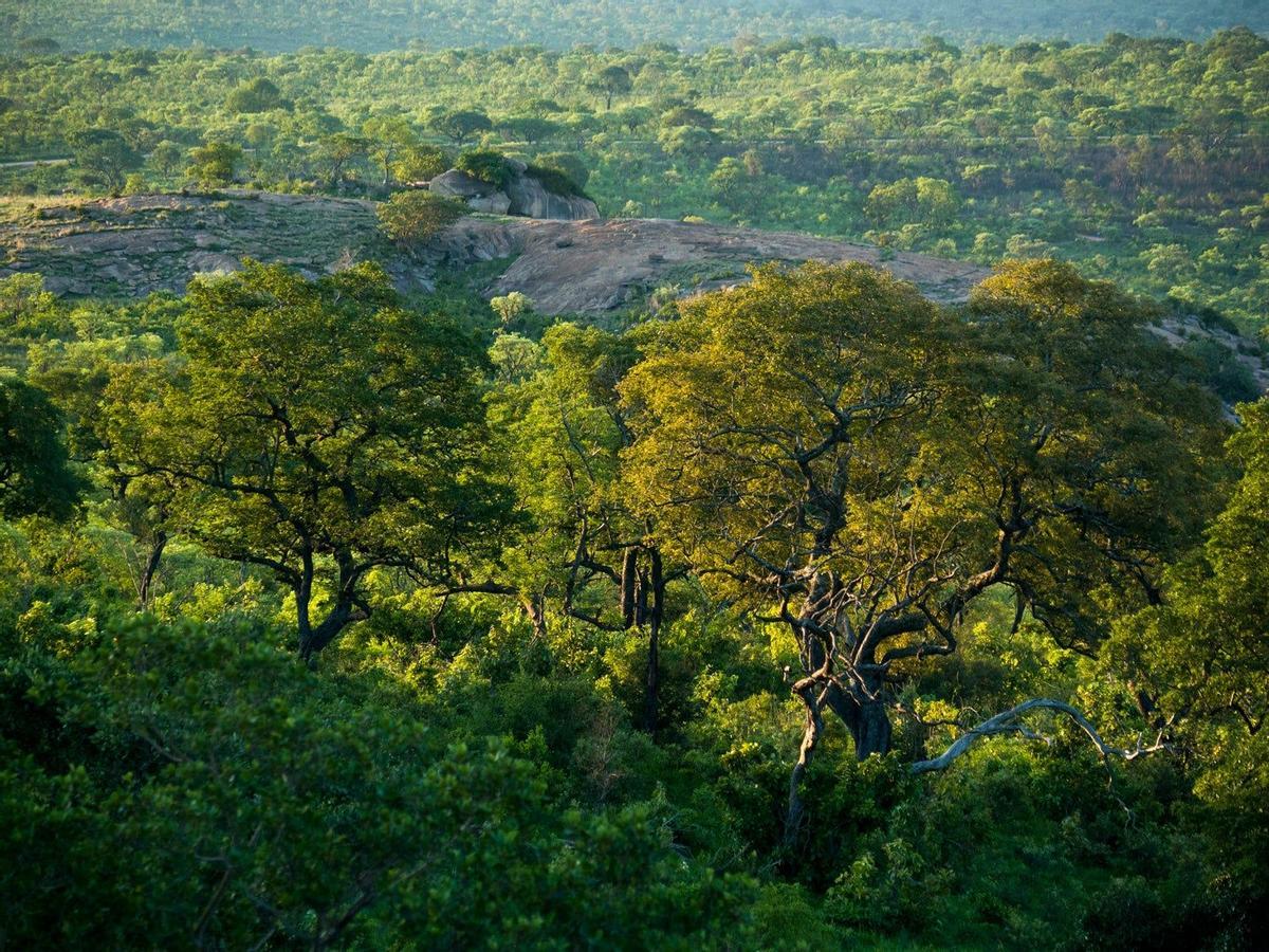 Panorámica del Parque Kruger