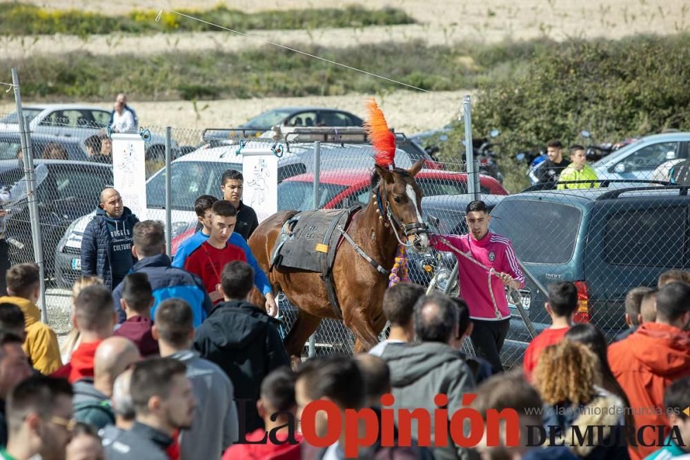 Carrera de entrenamiento de los Caballos del Vino