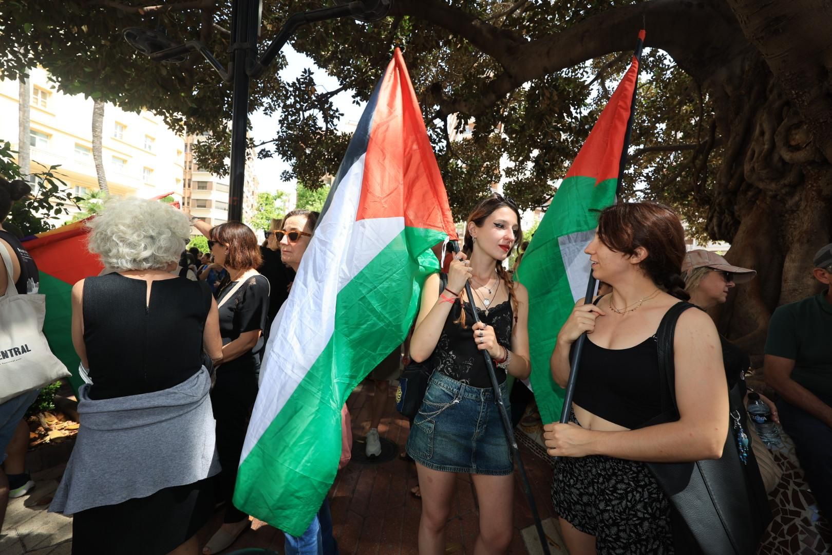 Manifestación a favor del pueblo palestino y la paz en Castellón