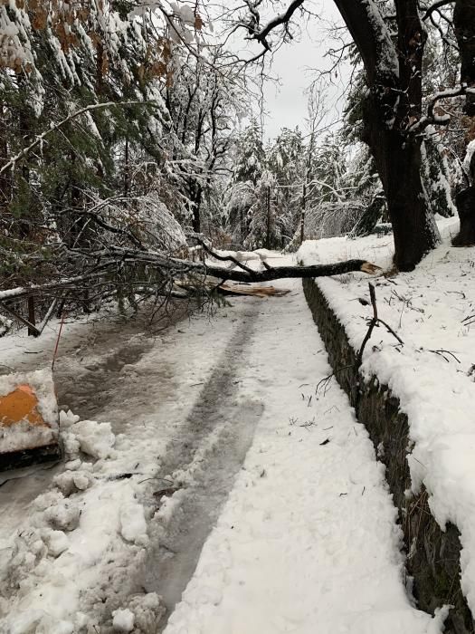 Nevada a la Cerdanya