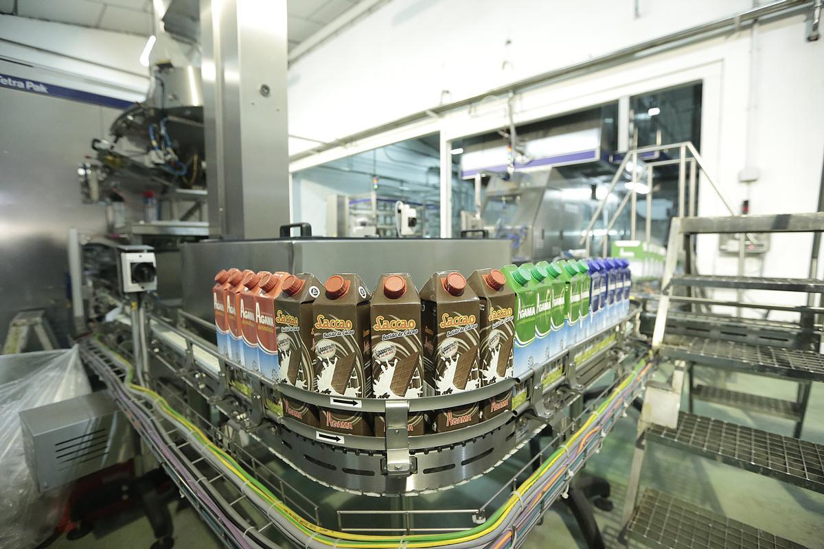 FOTOS | La historia de Agama, en imágenes