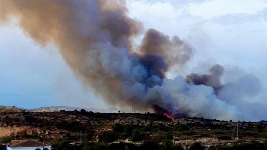 Los bomberos actúan sobre un incendio forestal en Alfarp