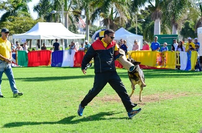 10/12/2016 MASPALOMAS. Feria de Mascotas Maspalomas 2016.Foto: SABRINA CEBALLOS