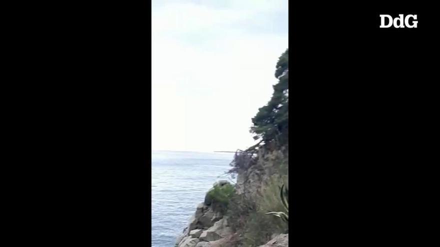 Video: Un home de 61 anys es precipita des del camí de ronda a la cala dels Trons de Lloret de Mar